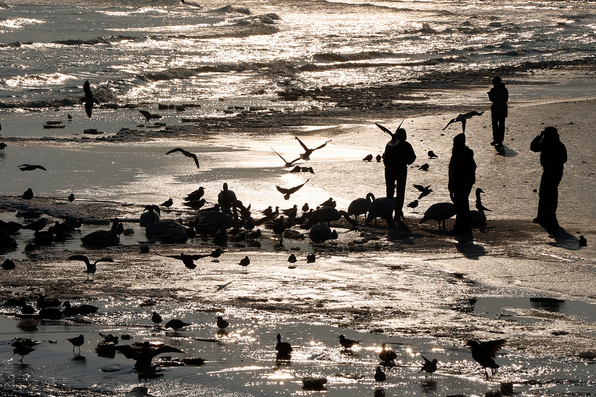 Mer Baltique en hiver à Sopot